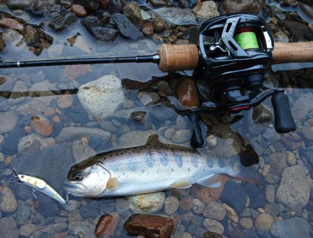 渓流でアマゴ狙い ～長良川水系～